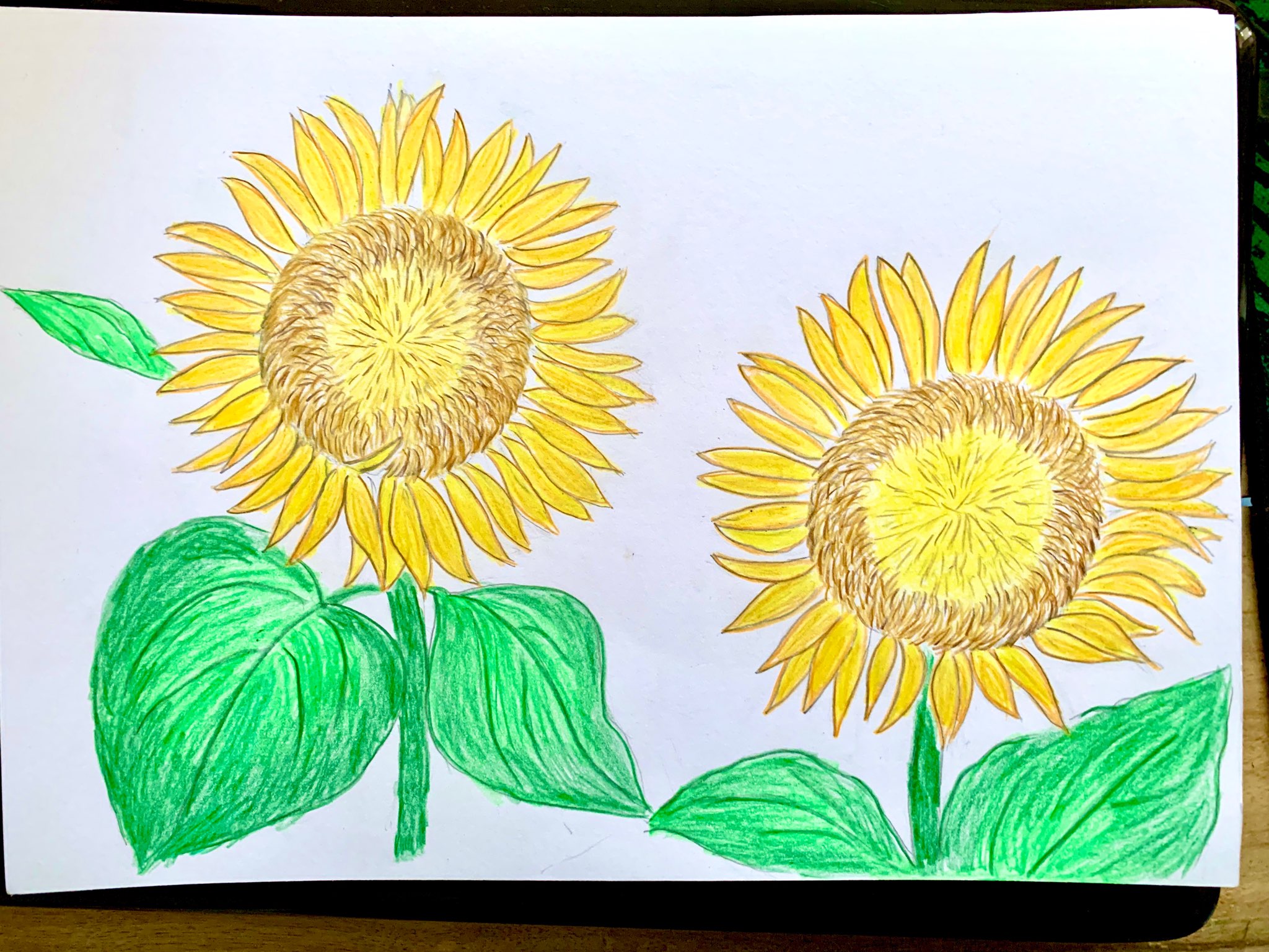 Vẽ hoa hướng dương là một trải nghiệm thú vị với bất kỳ người nghệ sĩ hay không chuyên nào. Bạn sẽ được tập trung vào việc tạo ra những điểm nhấn và sự thể hiện động lực của hoa hướng dương một cách tự do và sáng tạo.