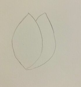 Hoa Tulip Màu Sắc Được Cô Lập Trên Nền Trắng Yếu Tố Thiết Kế Vẽ Tay Phong  Cách Phác Thảo Đơn Giản Hình Minh Họa Doodle Hình minh họa Sẵn có 