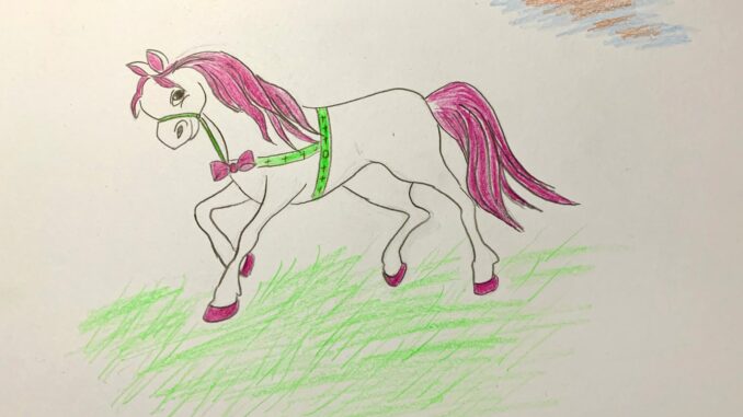 Vẽ con ngựa pony
