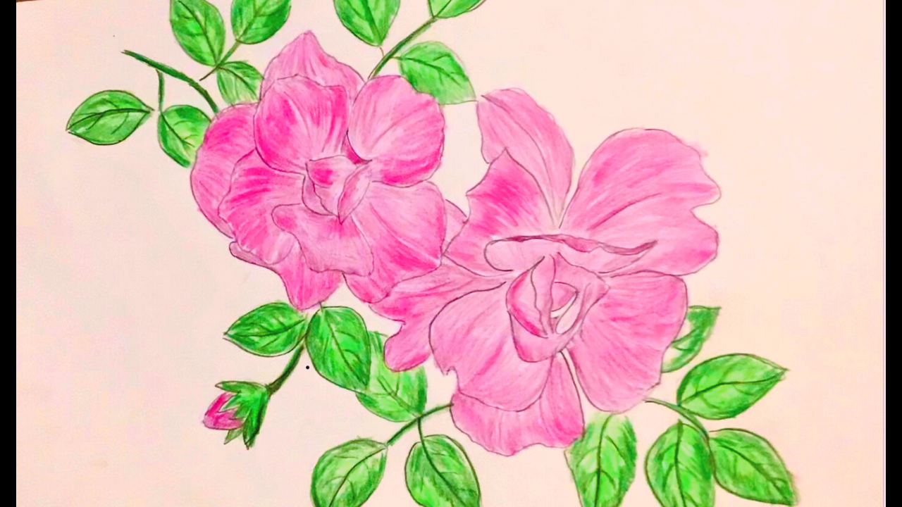 Học cách vẽ tranh hoa đào cực đẹp cực đơn giản  Khung tranh rẻ