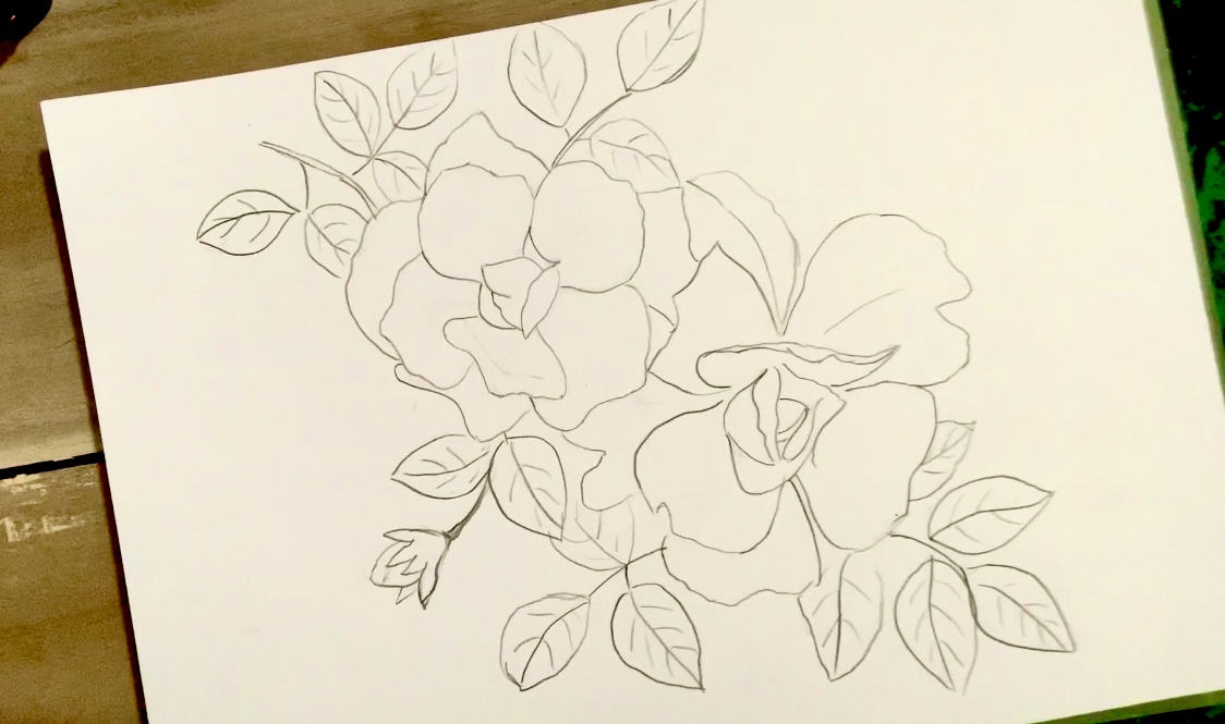 Bó Hoa Vẽ Tay Với Hoa Hồng Và Gypsophila Hình minh họa Sẵn có Tải xuống Hình ảnh Ngay bây giờ Bút chì Bản mẫu Chùm Sắp xếp iStock