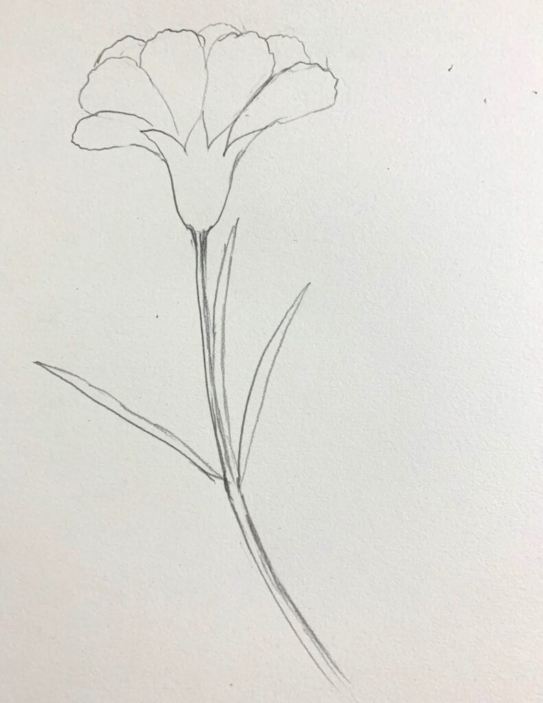Cập nhật 360 vẽ hoa đơn giản bằng bút chì mới nhất  Tin Học Vui