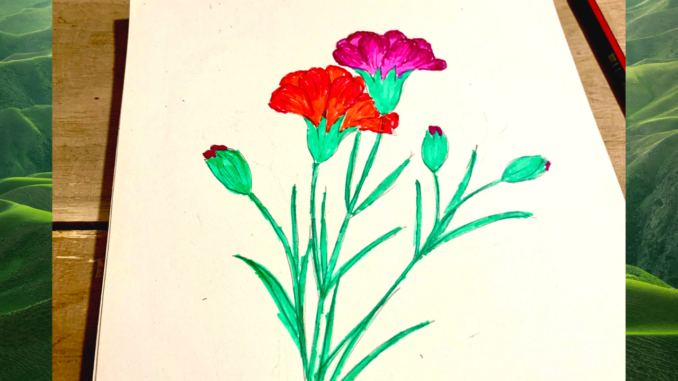 vẽ hoa cẩm chướng