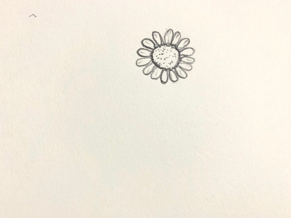 vẽ cánh hoa