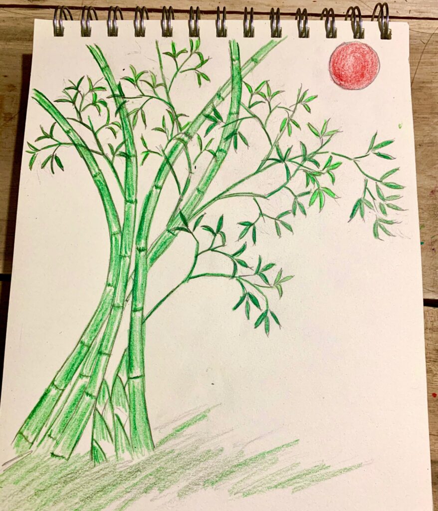 Vẽ cây tre đơn giản đẹp bằng bút chì - Go shopping happy
