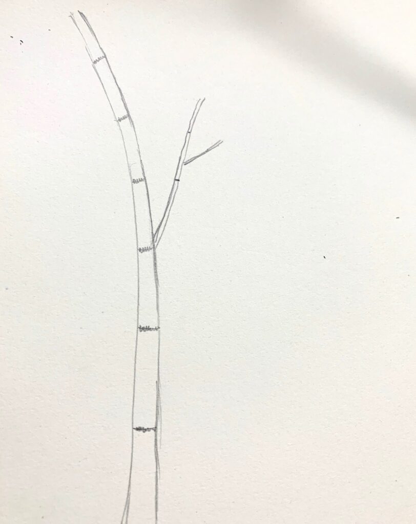 Cách vẽ cây đơn giản đẹp bằng bút chì mới lạ sáng tạo nhất cho bé