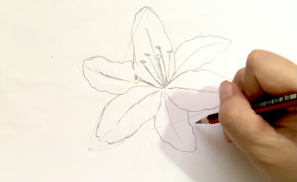 Bài Tập Cách Vẽ Hoa Ly Đơn Giản Bằng Bút Chì Cho Người Mới Học Vẽ Trang Trí